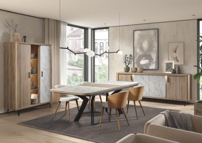 salle a manger moderne Tudor 2 1